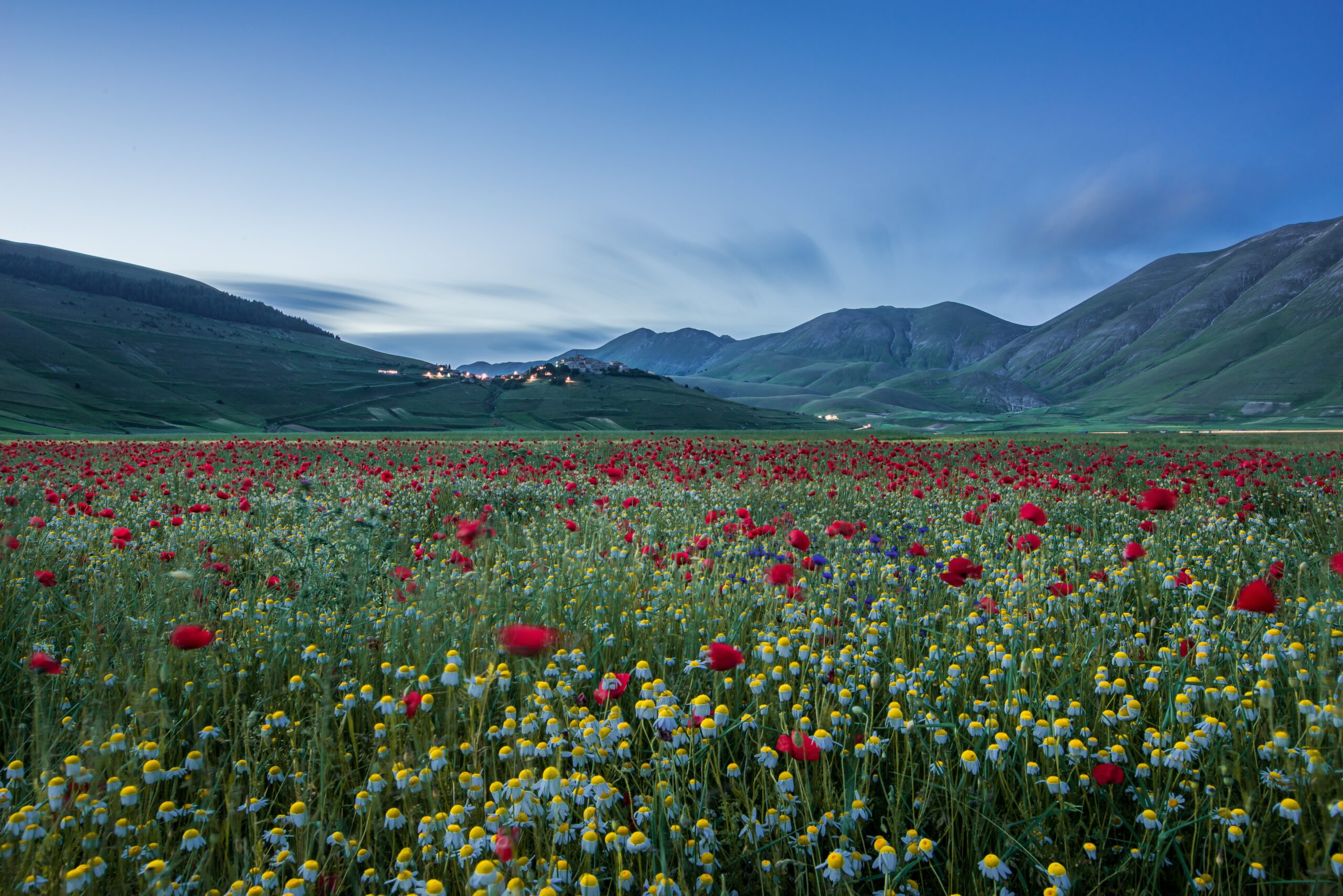 https://allthatbach.com/wp-content/uploads/2024/01/horizontal-shot-huge-field-with-lot-flowers-red-tulips-surrounded-by-high-mountains-scaled.jpg